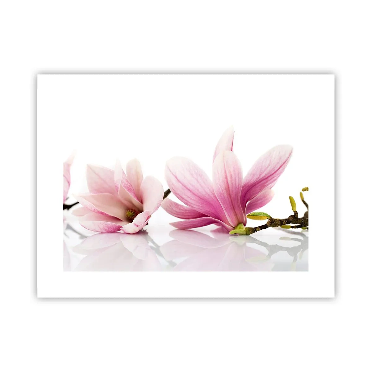 Póster - Suave como un soplo de primavera - 40x30 cm