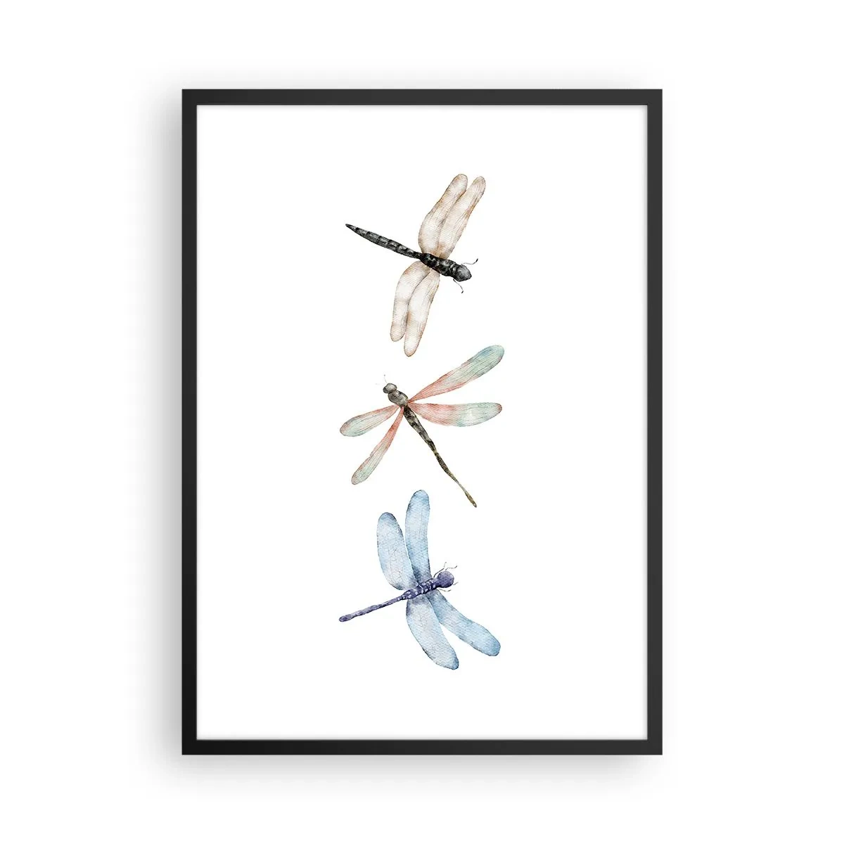 Póster en marco negro - Tres libélulas pintadas en acuarela - 50x70cm - Libélulas ingrávidas - Decoración de pared moderna para salón y dormitorio ARTTOR