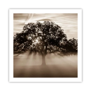Póster - Un árbol de buenas noticias  - 60x60 cm