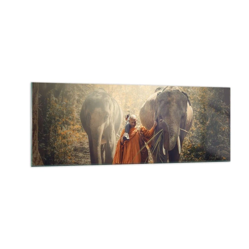Cuadro sobre vidrio - Impresiones sobre Vidrio - Un monje con una túnica naranja guía un elefante en el bosque. - 140x50cm - Comprensión total - Decoración de pared moderna para salón y dormitorio ARTTOR