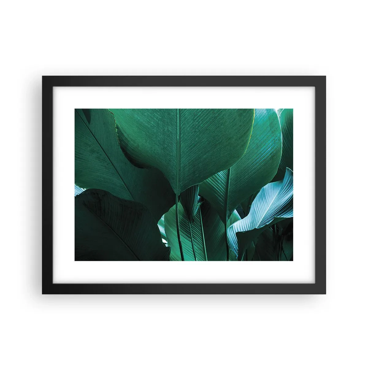 Póster en marco negro - De cara a la luz - 40x30 cm