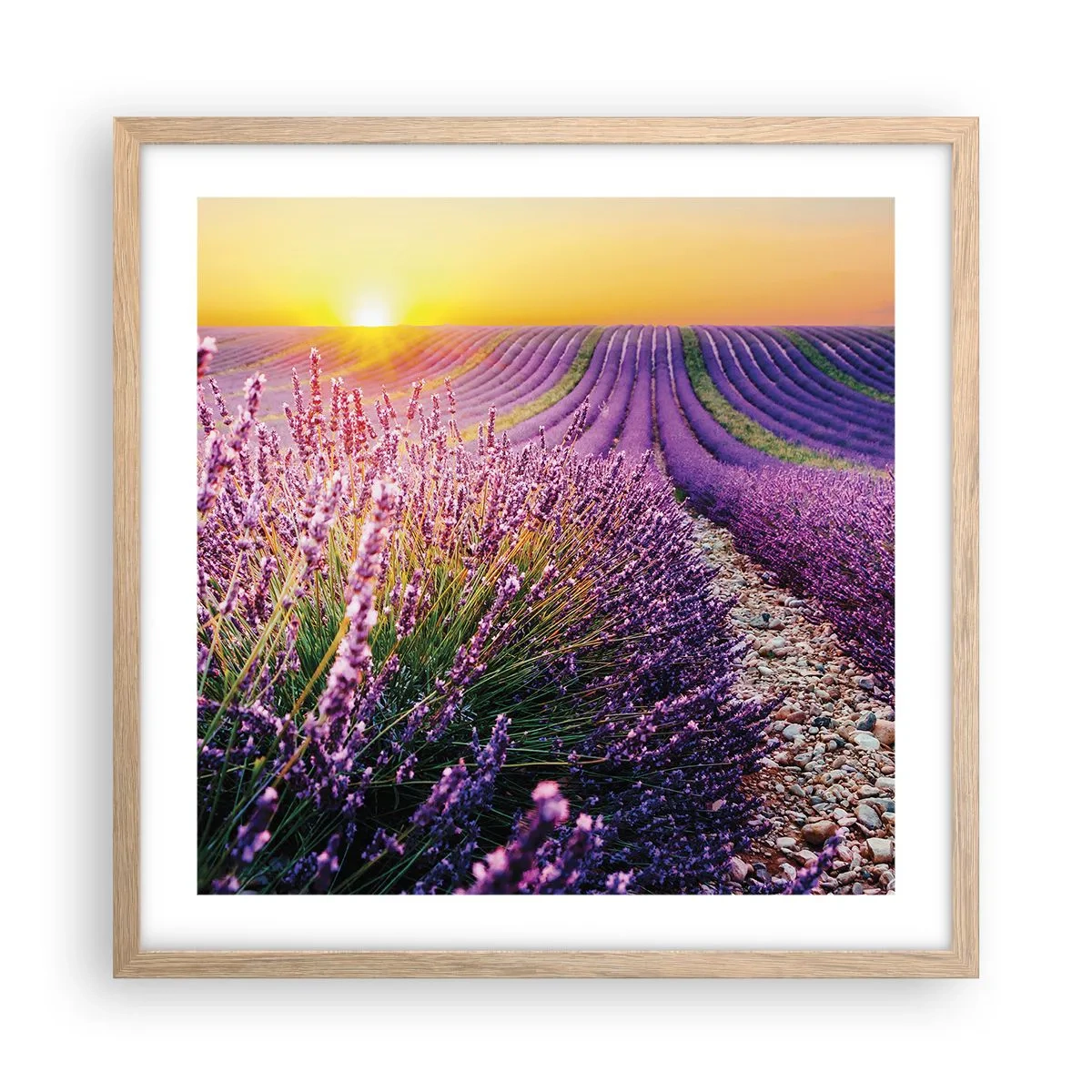 Póster en marco roble claro - Pradera fragante - 50x50 cm