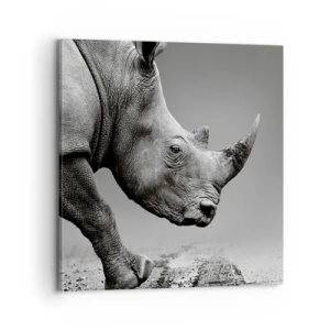 Cuadro sobre lienzo - Impresión de Imagen - Fuerza imparable - 70x70 cm