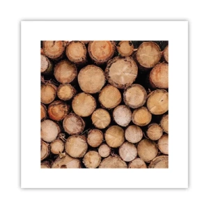 Póster - Un nuevo comienzo - 30x30 cm