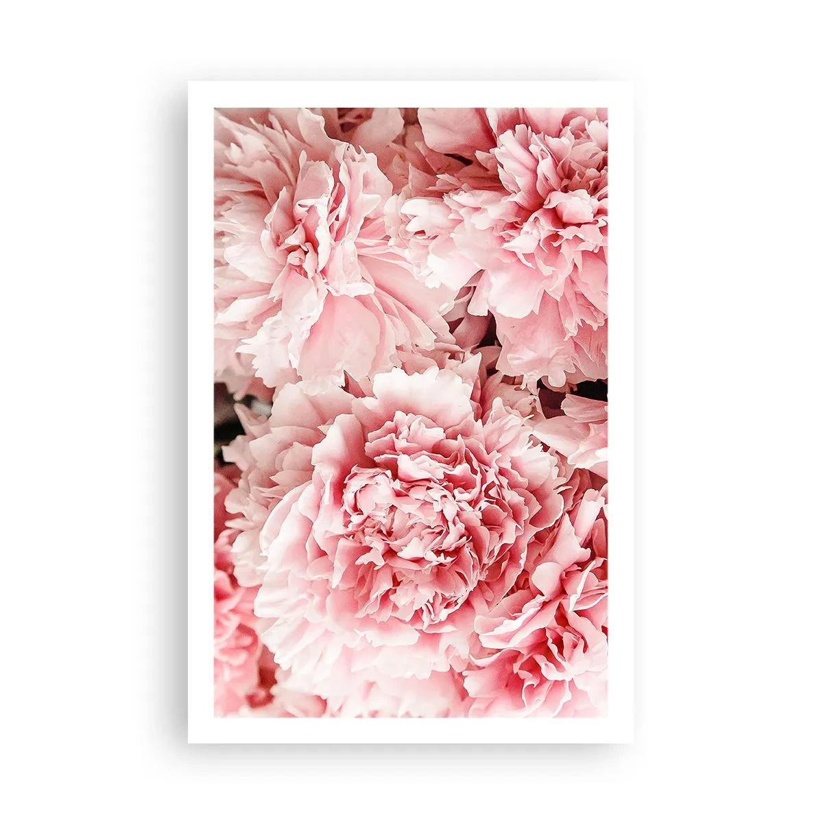 Póster - Sueño rosa - 61x91 cm
