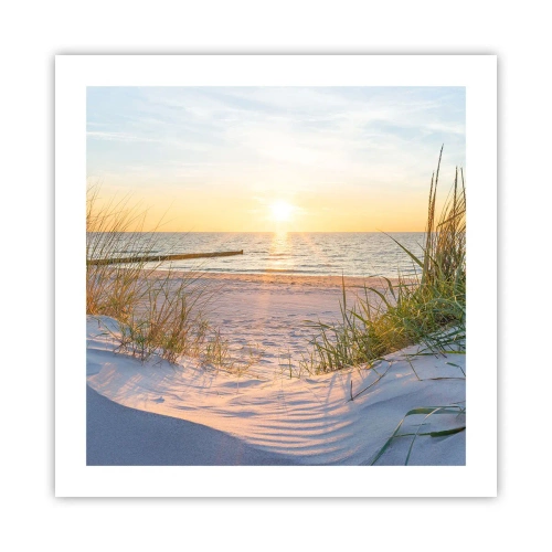 Póster - El sonido del mar, el canto de los pájaros, una playa virgen entre las dunas... - 50x50 cm