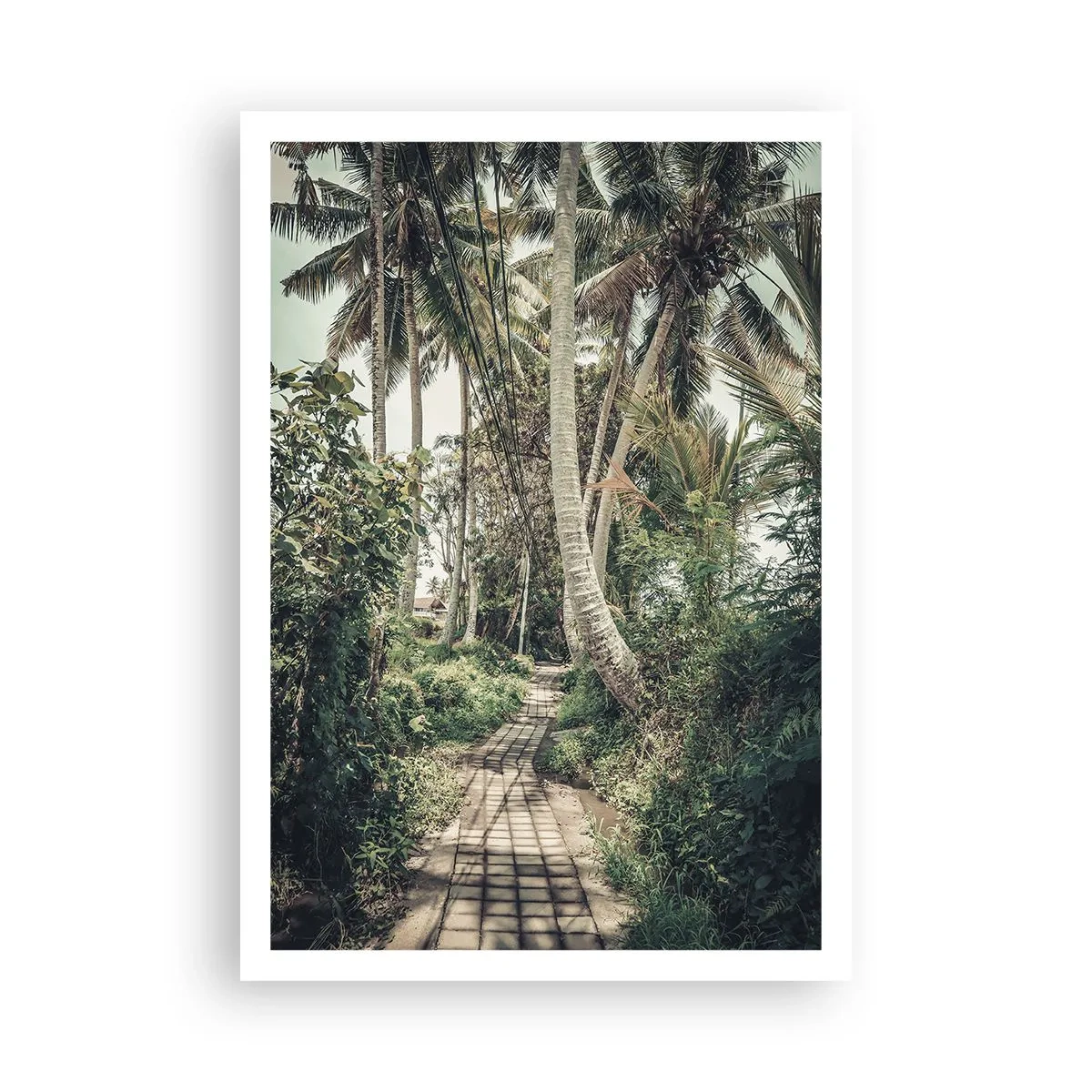 Póster - Avenida de palmeras - 70x100 cm