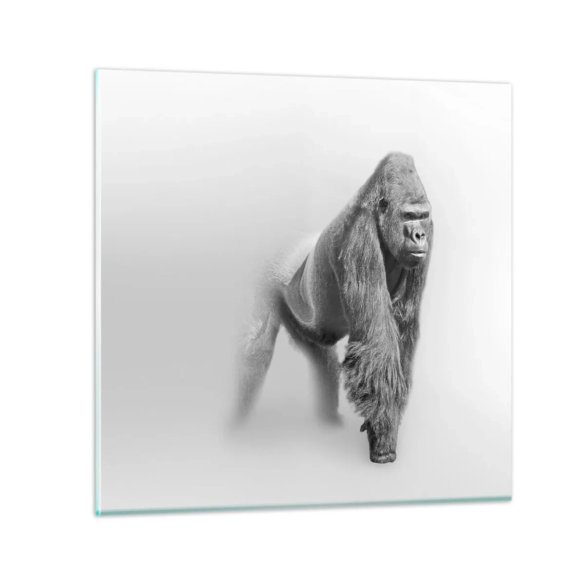 Cuadro sobre vidrio - Impresiones sobre Vidrio - Confiando en su fuerza - 70x70 cm