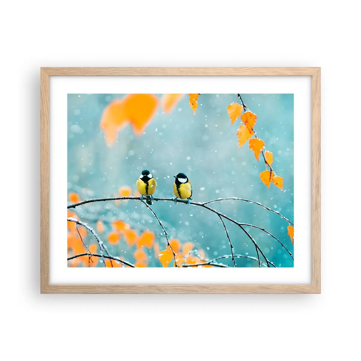 Póster en marco roble claro - Cotilleo de pájaros - 50x40 cm