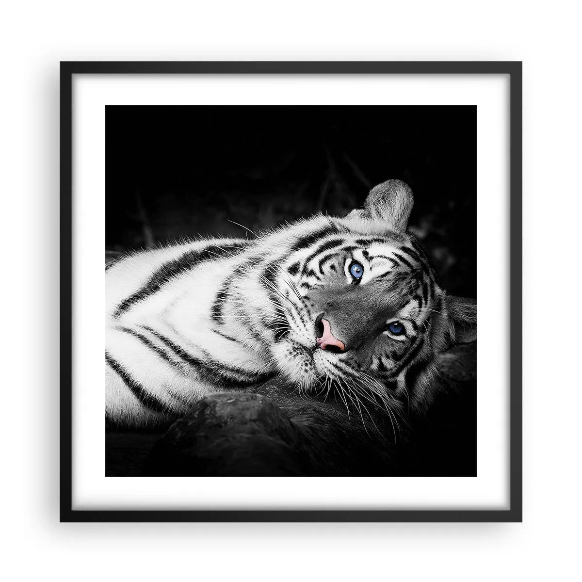 Póster en marco negro - Salvaje y tranquilo - 50x50 cm