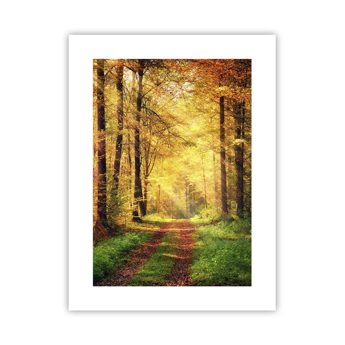 Póster - Silencio dorado del bosque - 30x40 cm