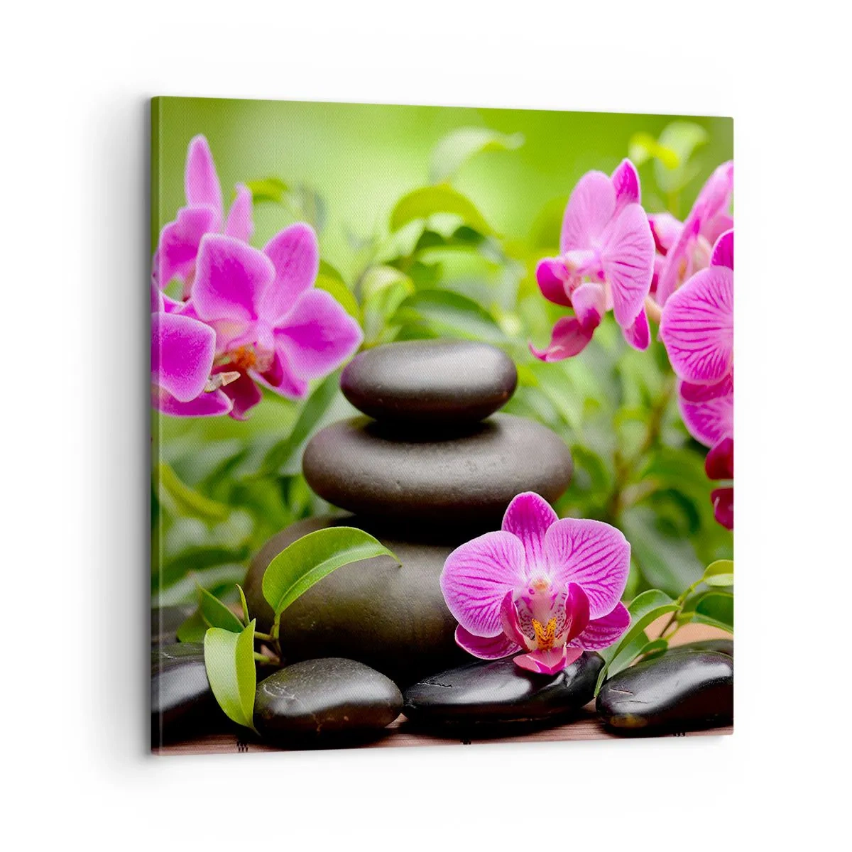 Cuadro sobre lienzo - Impresión de Imagen - Una pirámide de paz - 60x60 cm