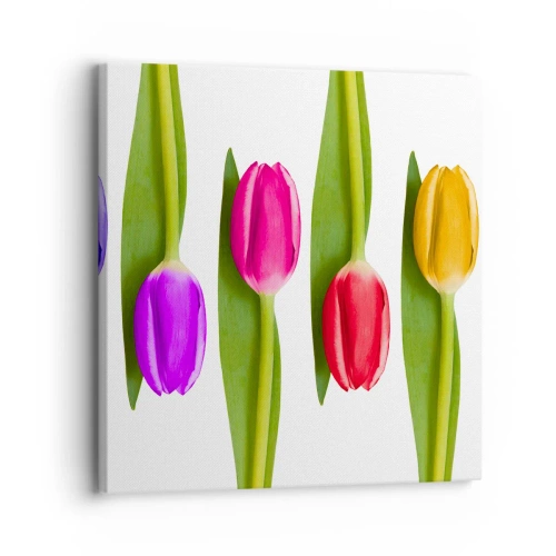 Cuadro sobre lienzo - Impresión de Imagen - Composición del arco iris - 30x30 cm