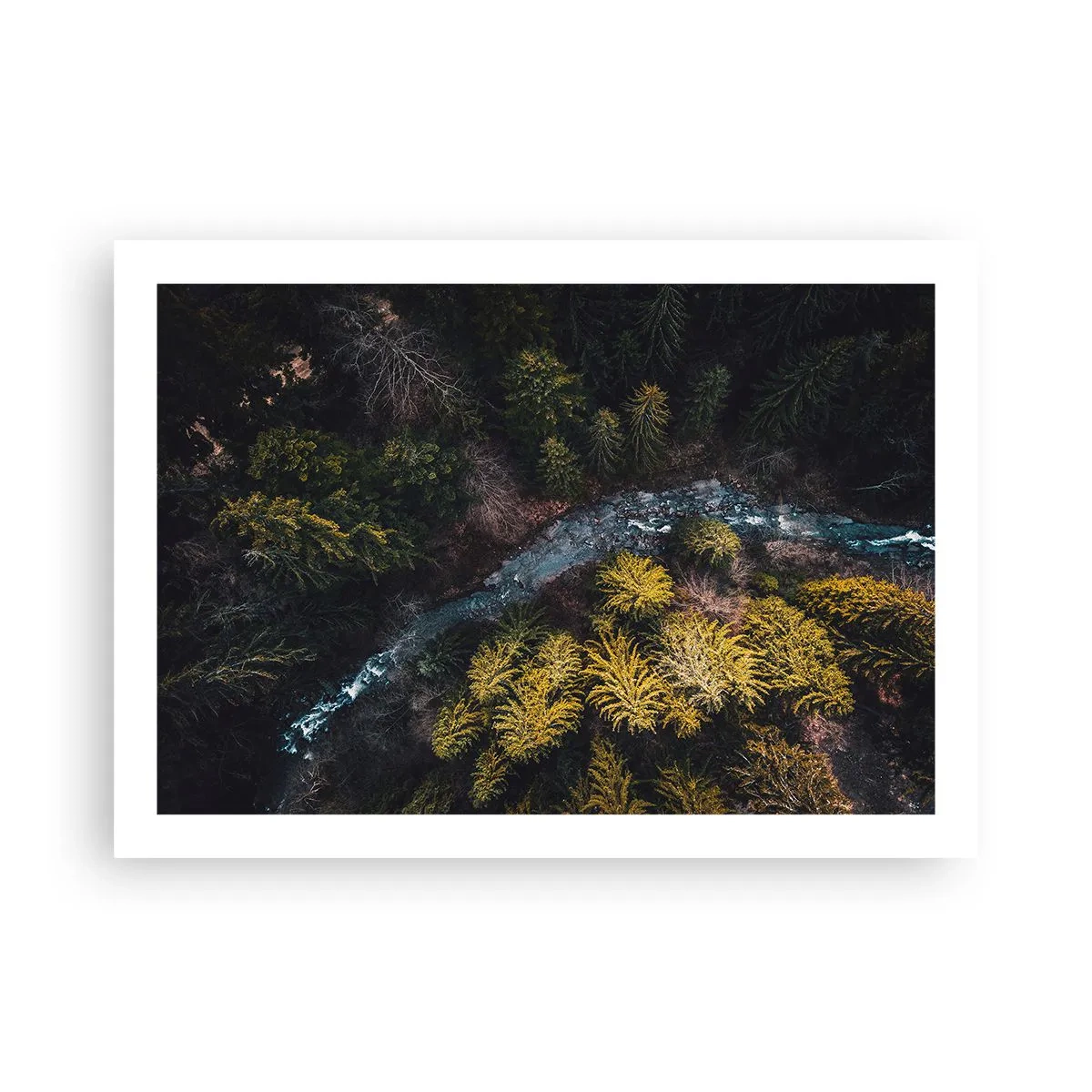 Póster - Rápido, cada vez más rápido - 70x50 cm