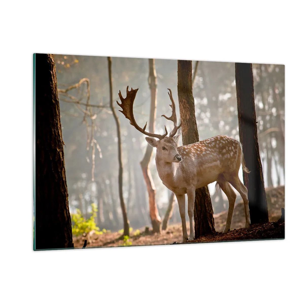 Cuadro sobre vidrio - Impresiones sobre Vidrio - Un ciervo en el bosque rodeado de niebla matutina. - 120x80cm - La luz de la juventud - Decoración de pared moderna para salón y dormitorio ARTTOR