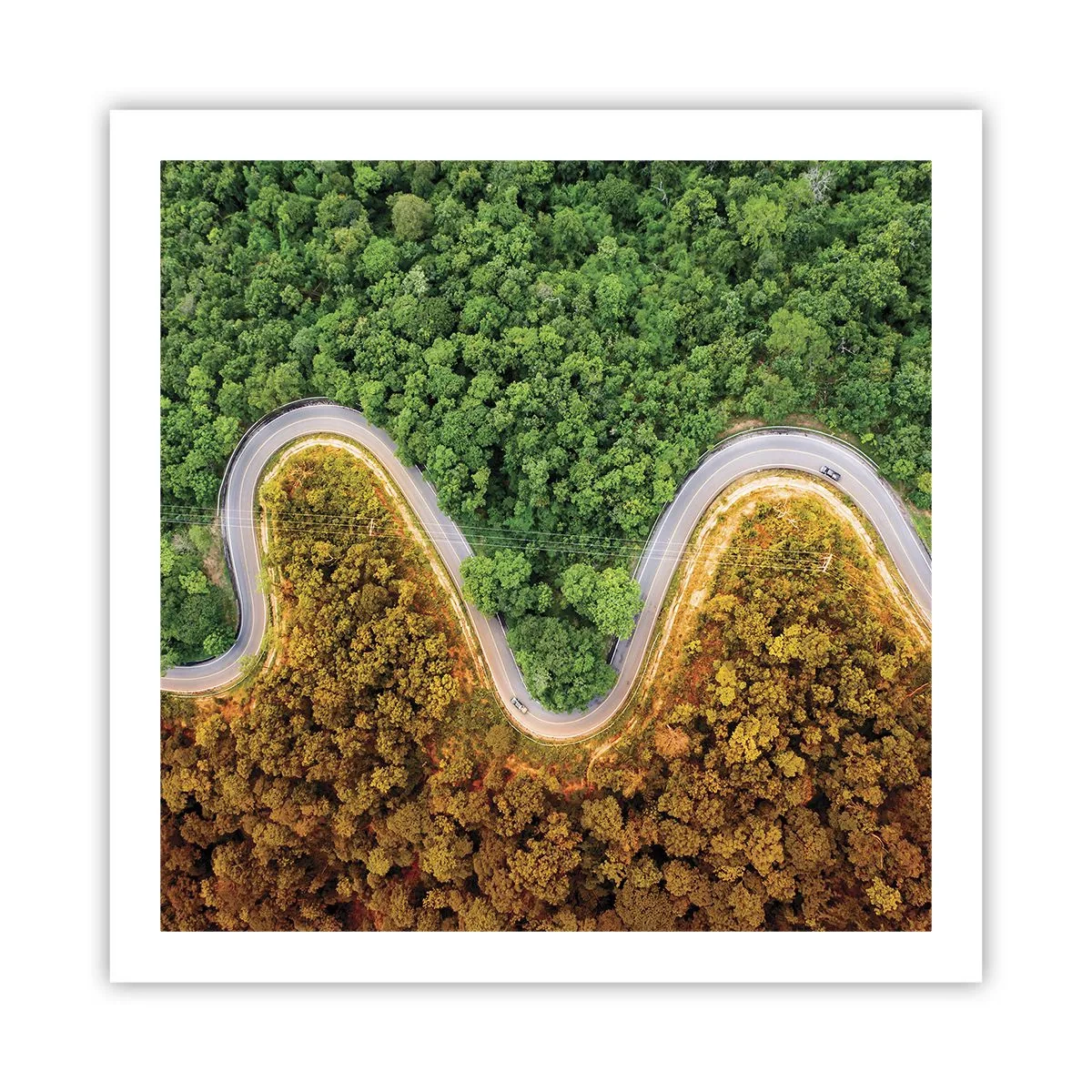 Póster - Frontera serpenteante - 60x60 cm