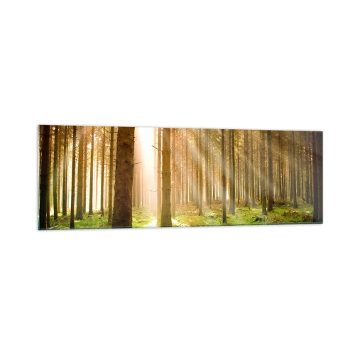 Cuadro sobre vidrio - Impresiones sobre Vidrio - Bosque de coníferas con rayos de sol brillando a través de los árboles. - 160x50cm - Los elfos se aproximan - Decoración de pared moderna para salón y dormitorio ARTTOR