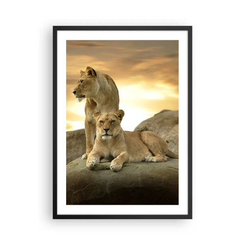 Póster en marco negro - Dos leonas contra el sol poniente - 50x70cm - Majestuosidad real - Decoración de pared moderna para salón y dormitorio ARTTOR