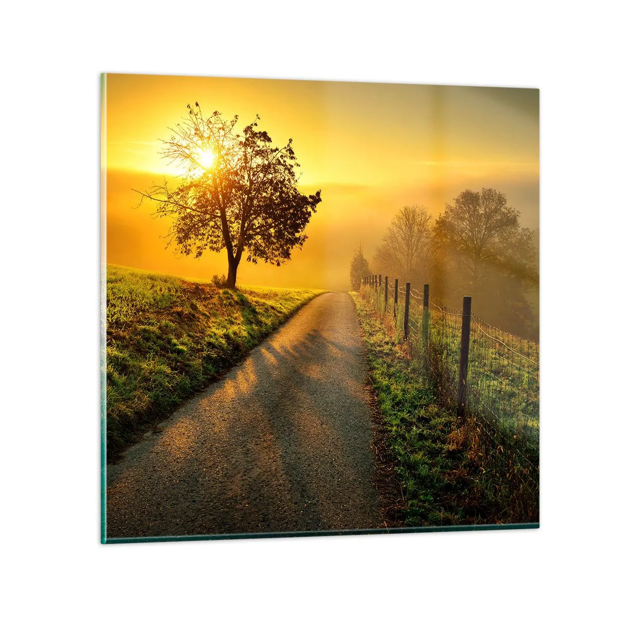 Cuadro sobre vidrio - Impresiones sobre Vidrio - Tarde melosa - 40x40 cm