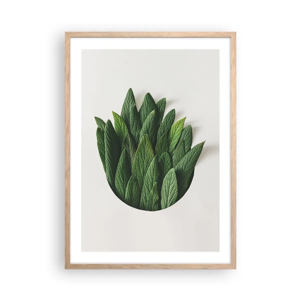 Póster en marco roble claro - Curiosidad desenfrenada - 50x70 cm