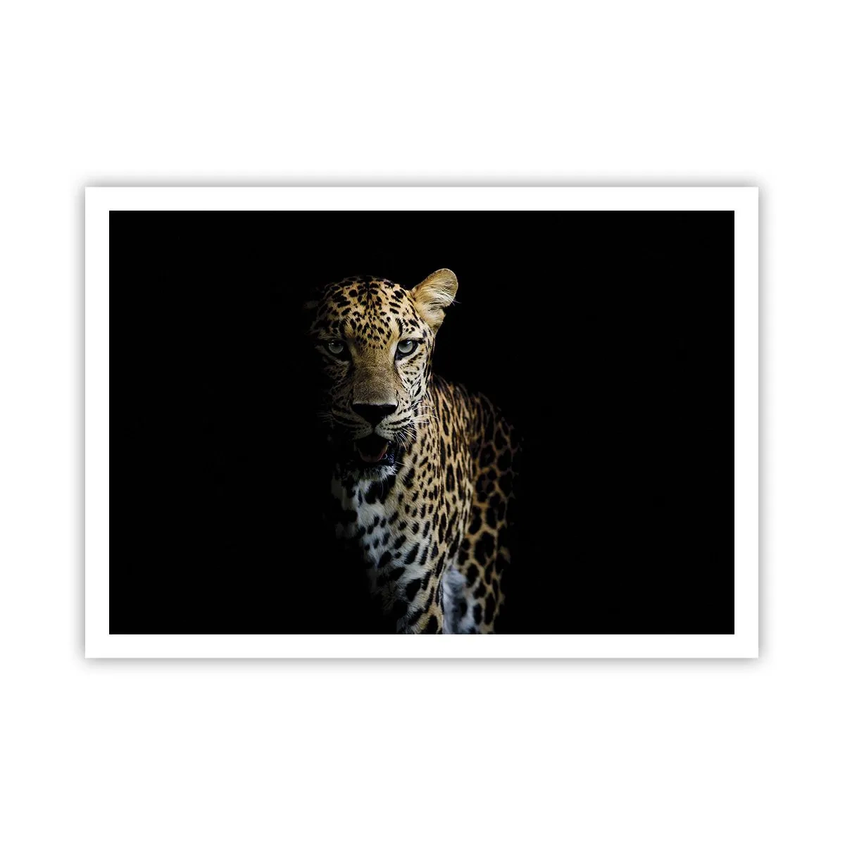 Póster - Un leopardo sobre un fondo oscuro con una mirada intensa. - 100x70cm - Belleza oscura - Decoración de pared moderna para salón y dormitorio ARTTOR