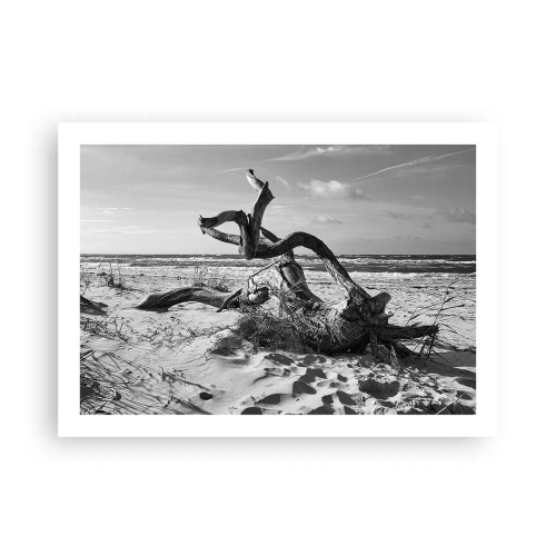 Póster - Escultura marina - 70x50 cm