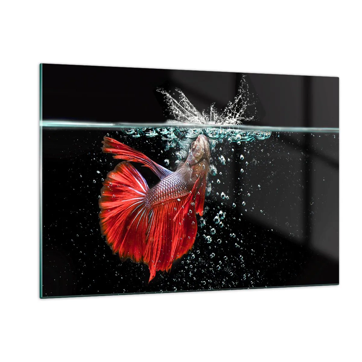 Cuadro sobre vidrio - Impresiones sobre Vidrio - Betta rojo en una composición de agua dinámica - 120x80cm - Tienes tres deseos - Decoración de pared moderna para salón y dormitorio ARTTOR