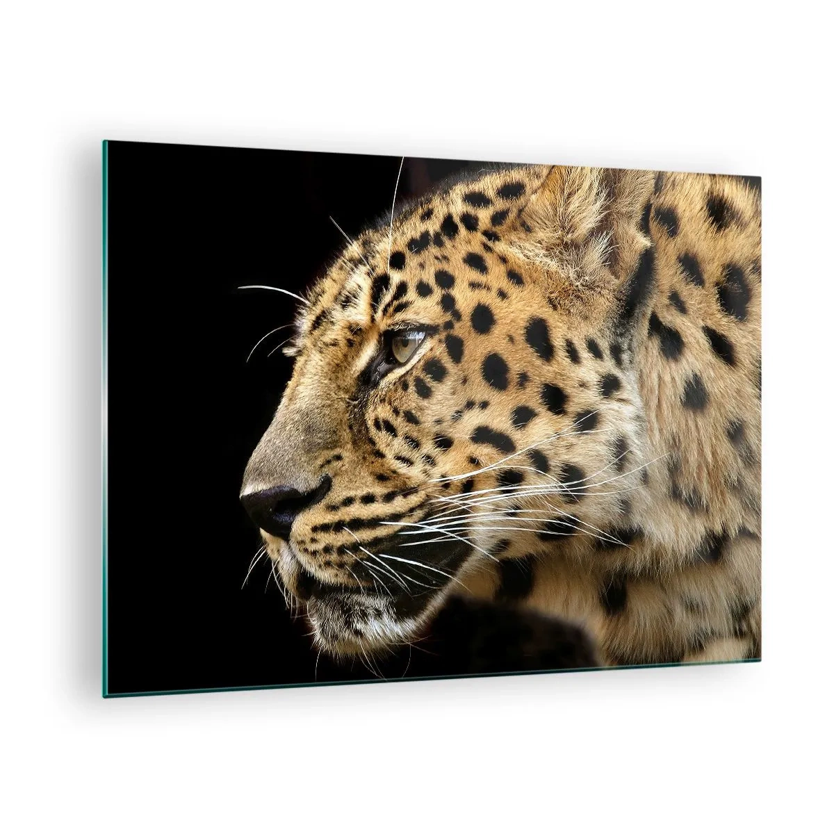 Cuadro sobre vidrio - Impresiones sobre Vidrio - Perfil de un leopardo sobre fondo negro - 70x50cm - Tranquilo, concentrado, preparado - Decoración de pared moderna para salón y dormitorio ARTTOR