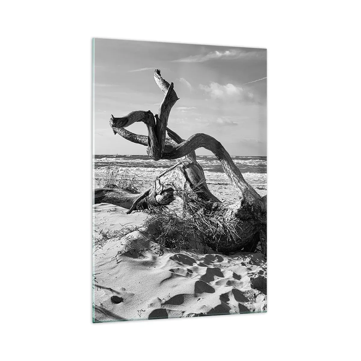 Cuadro sobre vidrio - Impresiones sobre Vidrio - Paisaje en blanco y negro con un árbol muerto en la playa. - 70x100cm - Escultura marina - Decoración de pared moderna para salón y dormitorio ARTTOR