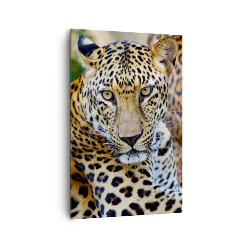Cuadro sobre lienzo - Impresión de Imagen - Jaguar descansando en un entorno natural con fondo verde. - 80x120cm - Salvaje y tranquilo - Decoración de pared moderna para salón y dormitorio ARTTOR