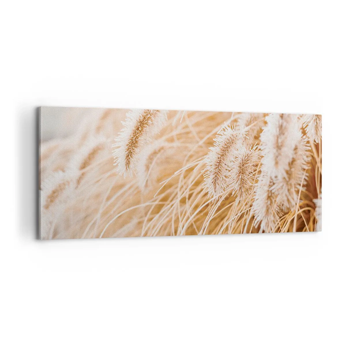 Cuadro sobre lienzo - Impresión de Imagen - El dorado susurro de las hierbas - 100x40 cm