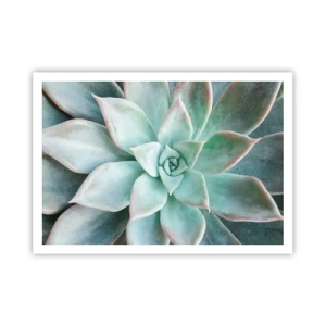 Póster - Primer plano de una suculenta verde - 100x70cm - El corazón del desierto - Decoración de pared moderna para salón y dormitorio ARTTOR