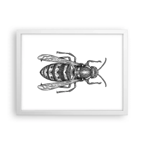 Póster en marco blanco - Desde un planeta de insectos - 40x30 cm