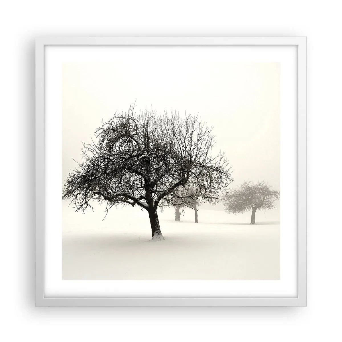 Póster en marco blanco - Sueño de invierno - 50x50 cm