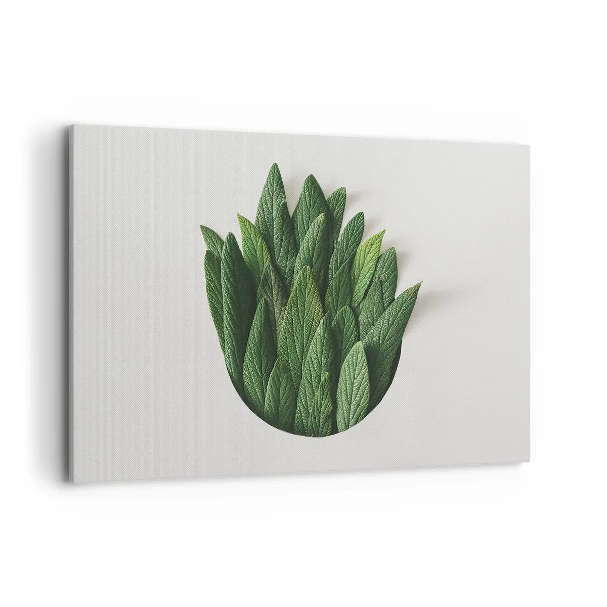 Cuadro sobre lienzo - Impresión de Imagen - Una composición de hojas verdes sobre un fondo claro. - 120x80cm - Curiosidad desenfrenada - Decoración de pared moderna para salón y dormitorio ARTTOR