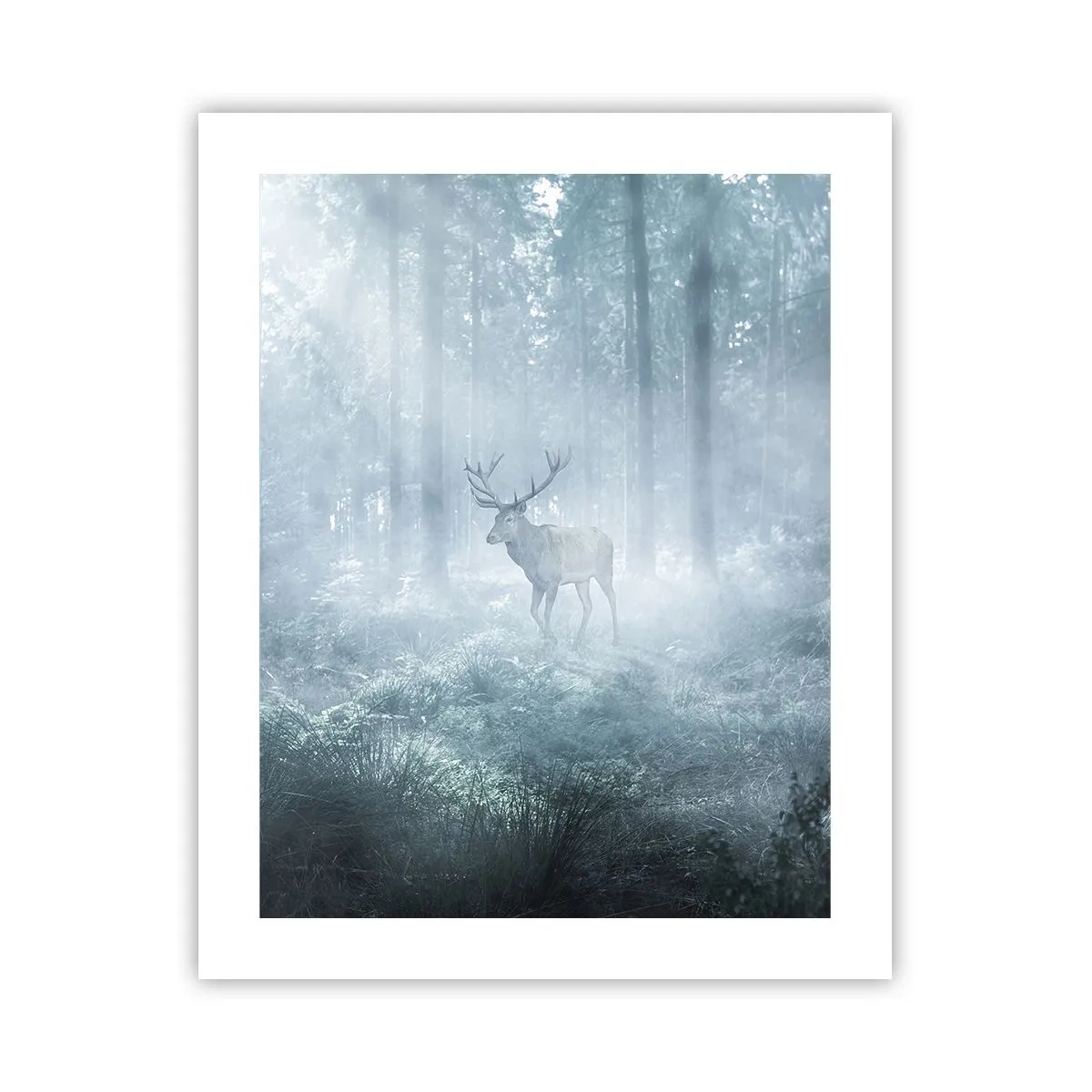 Póster - Ronda matutina por la finca - 40x50 cm