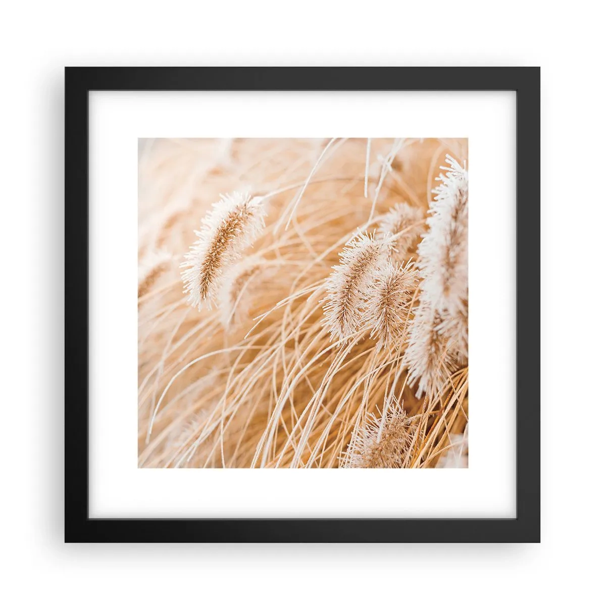 Póster en marco negro - El dorado susurro de las hierbas - 30x30 cm