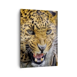 Cuadro sobre lienzo - Impresión de Imagen - Un primer plano de un leopardo amenazante con sus colmillos al descubierto. - 50x70cm - ¡Atrás, te lo advierto! - Decoración de pared moderna para salón y dormitorio ARTTOR