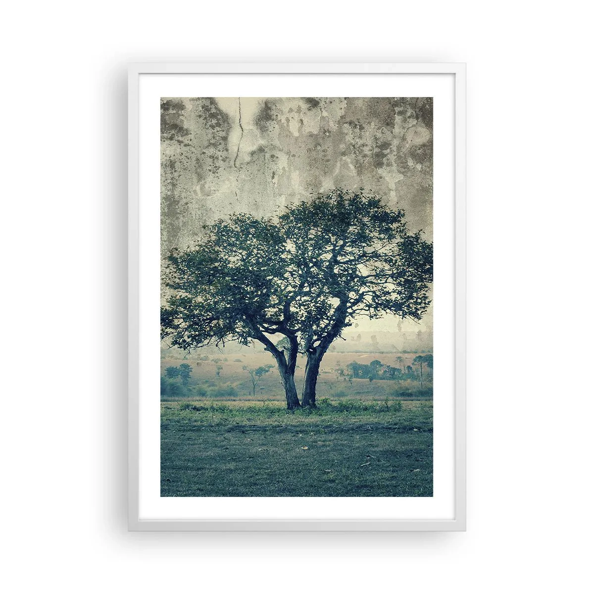 Póster en marco blanco - El manzano - 50x70 cm