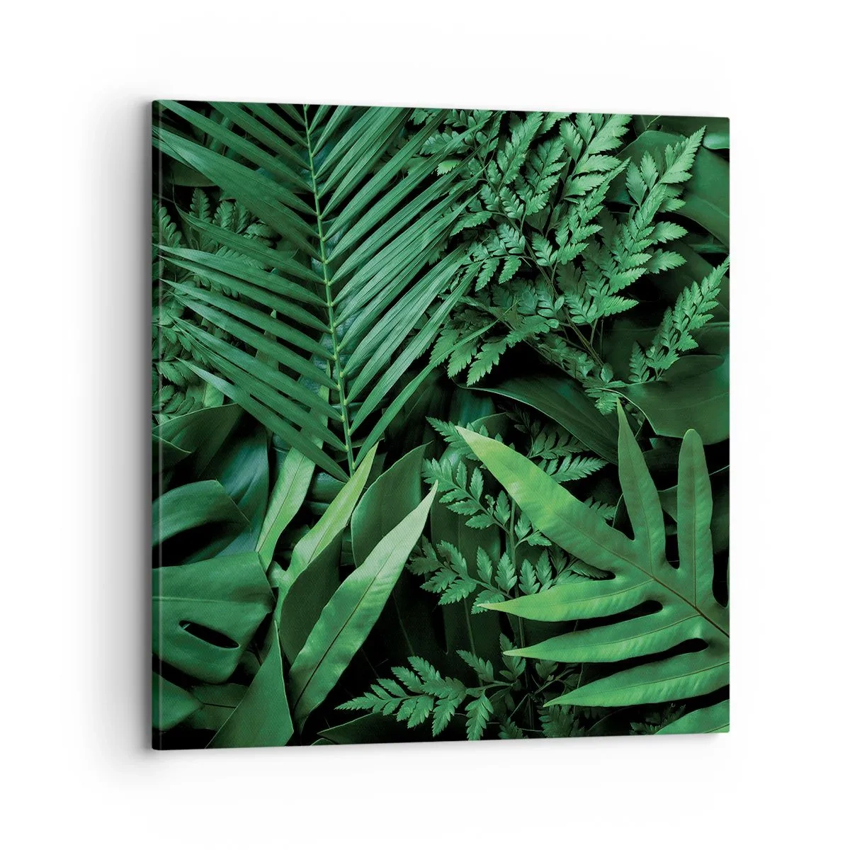 Cuadro sobre lienzo - Impresión de Imagen - Abrazo verde - 70x70 cm