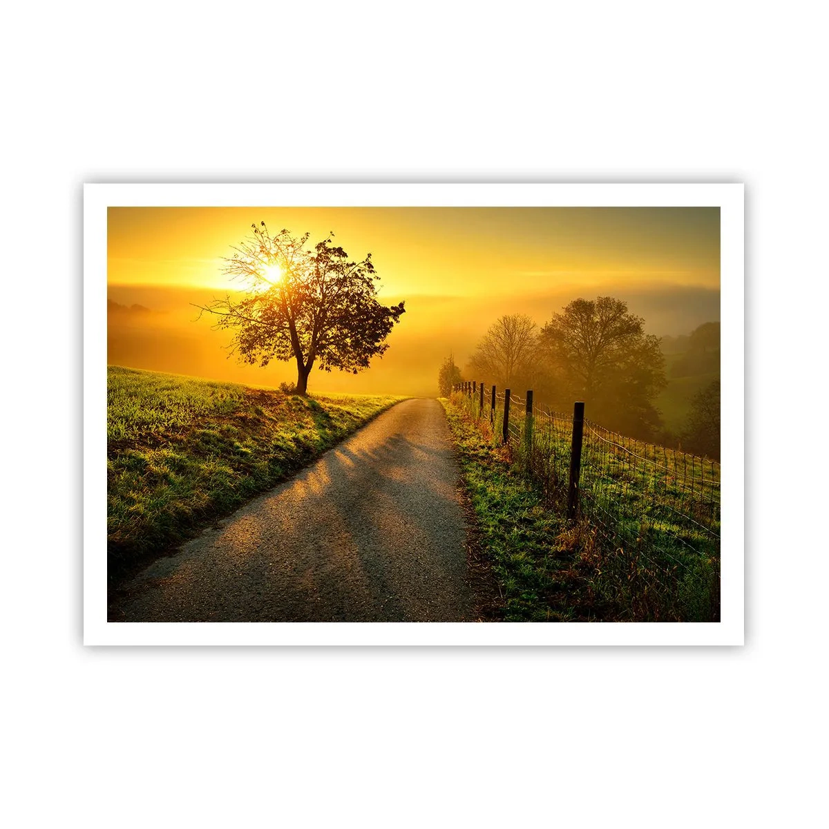 Póster - Una pintoresca carretera al atardecer con un árbol solitario al fondo. - 100x70cm - Tarde melosa - Decoración de pared moderna para salón y dormitorio ARTTOR