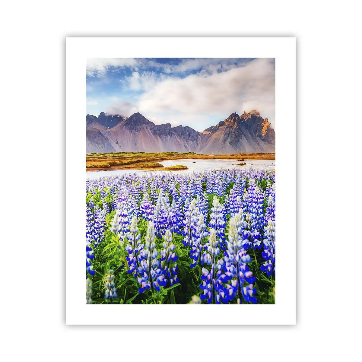 Póster - La fuerza y la severidad junto a la dulzura - 40x50 cm