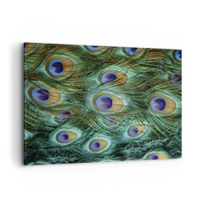 Cuadro sobre lienzo - Impresión de Imagen - Detalles de plumas de pavo real en ricos colores. - 120x80cm - Mirada de pavo real - Decoración de pared moderna para salón y dormitorio ARTTOR