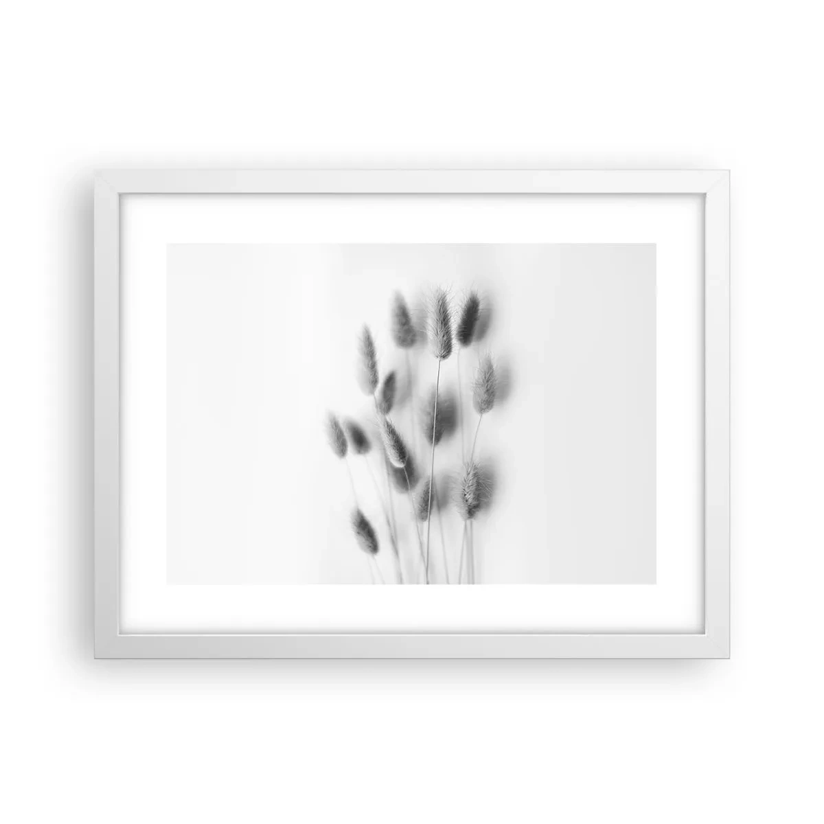 Póster en marco blanco - Esponjas naturales - 40x30 cm