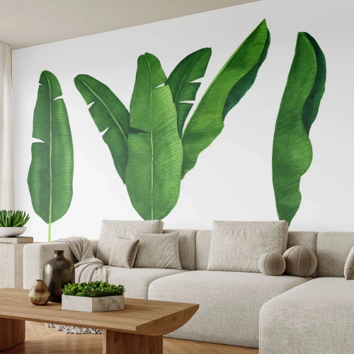 Fotomural Autadhesivo Deluxe Sticker - Simetría verde - Hoja de banana, Tropical, Estilo botánico - 150x105 cm