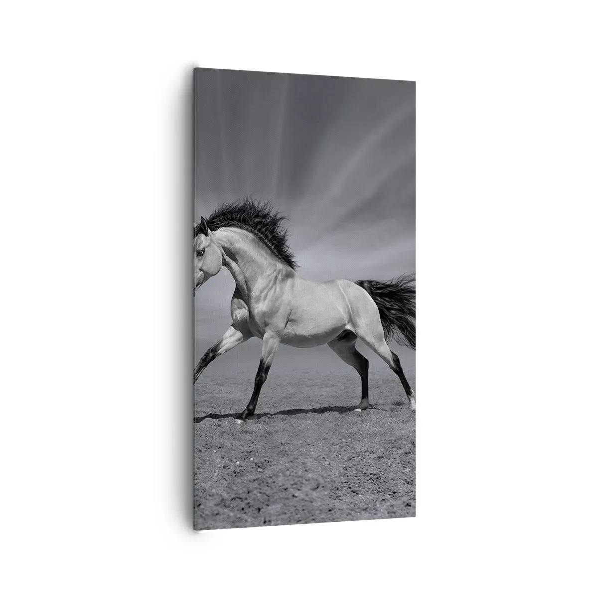 Cuadro sobre lienzo - Impresión de Imagen - Nacido para deleitar - 65x120 cm