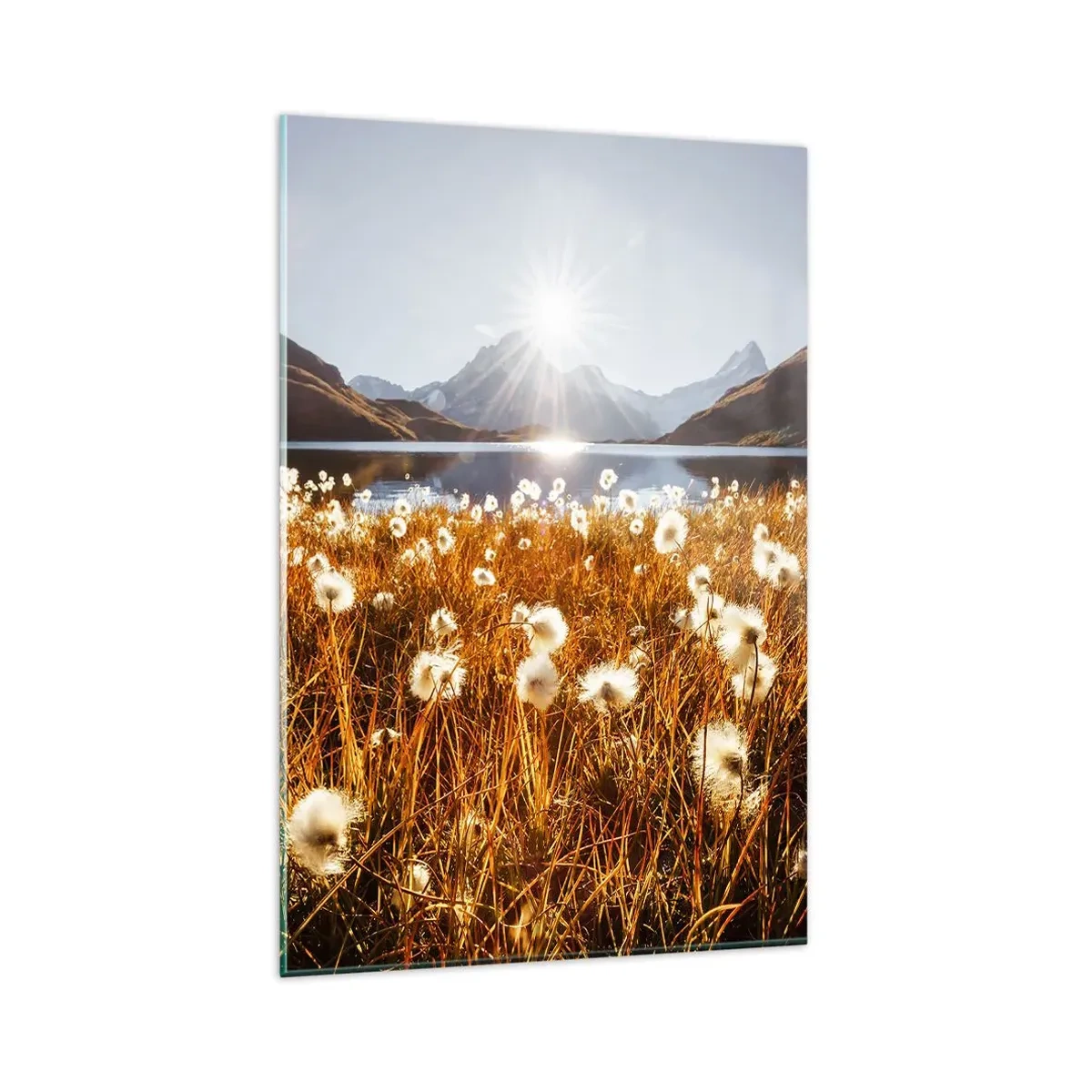 Cuadro sobre vidrio - Impresiones sobre Vidrio - Dureza de las rocas, suavidad de la hierba - 80x120 cm