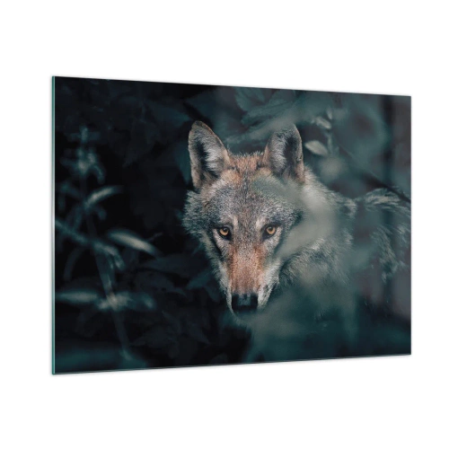 Cuadro sobre vidrio - Impresiones sobre Vidrio - Un lobo observa atentamente desde su escondite en la espesura del bosque. - 100x70cm - Cazador - Decoración de pared moderna para salón y dormitorio ARTTOR