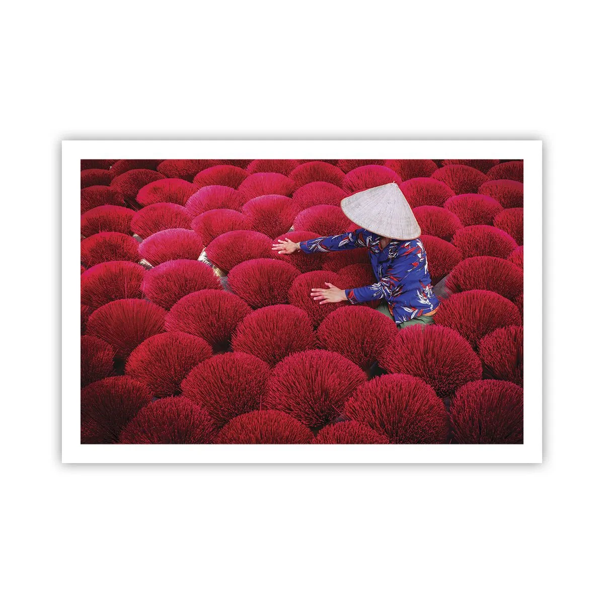 Póster - En un campo de arroz - 91x61 cm