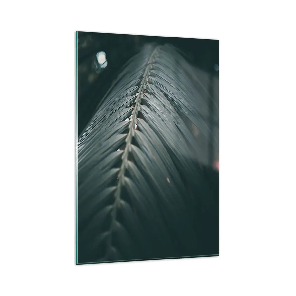 Cuadro sobre vidrio - Impresiones sobre Vidrio - Primer plano de un detalle de hoja de palma en tonos oscuros - 80x120cm - La precisión de la naturaleza - Decoración de pared moderna para salón y dormitorio ARTTOR